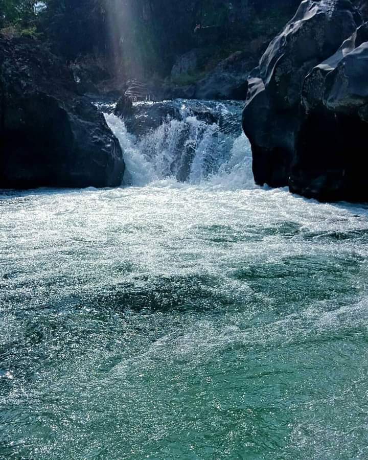 Jual air kolam koi jakarta selatan